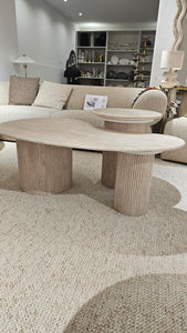 Set table basse organique