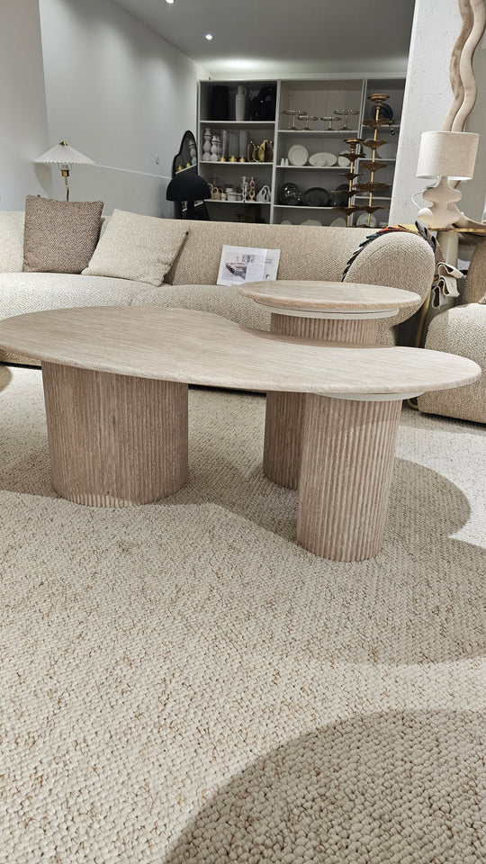 Set table basse organique
