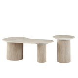 Set table basse organique