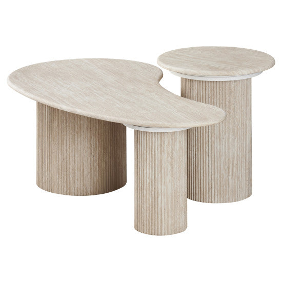 Set table basse organique