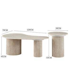 Set table basse organique