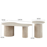 Set table basse organique